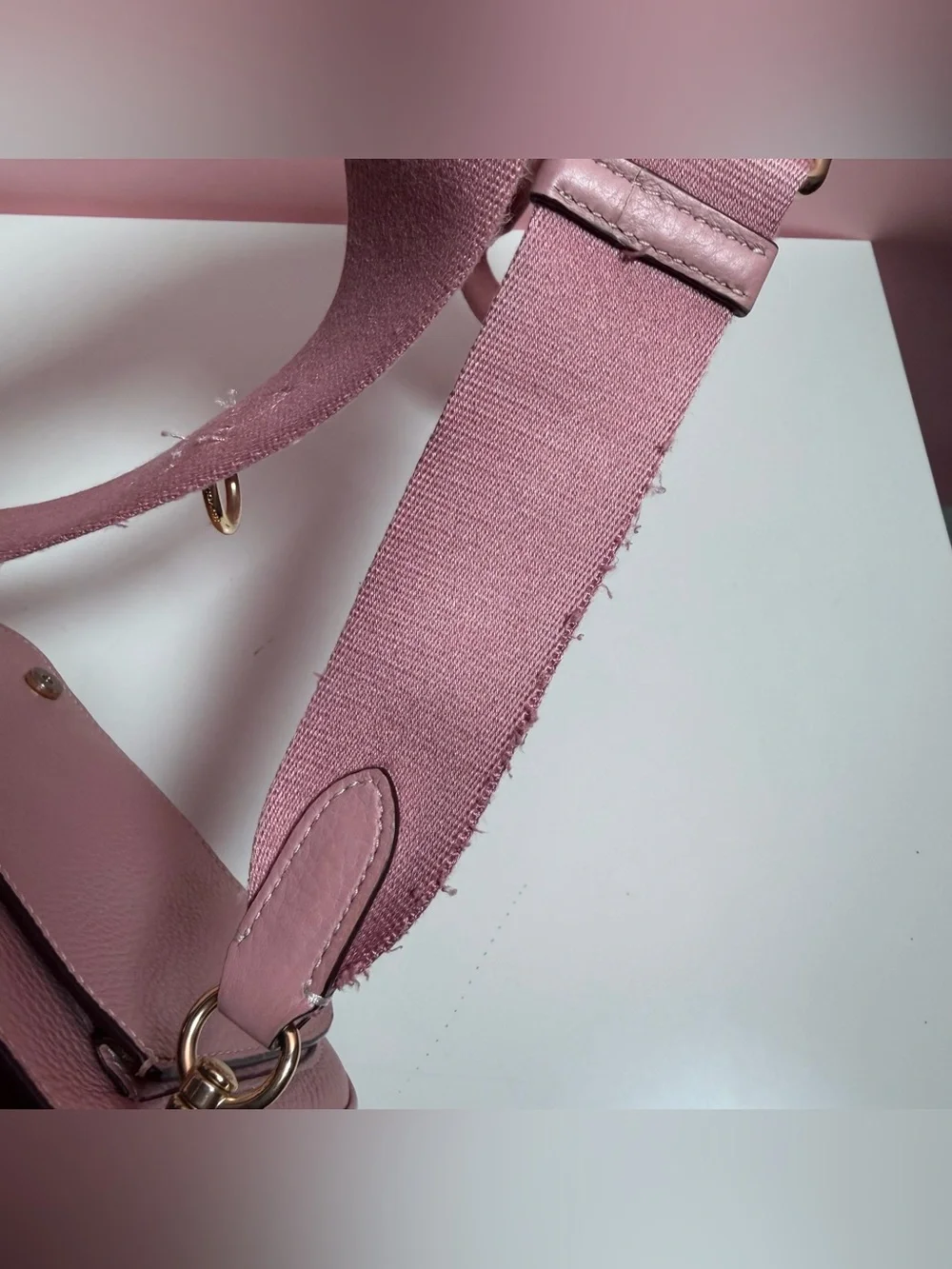 Pink Mauve Coach Lucy crossbody bag purse